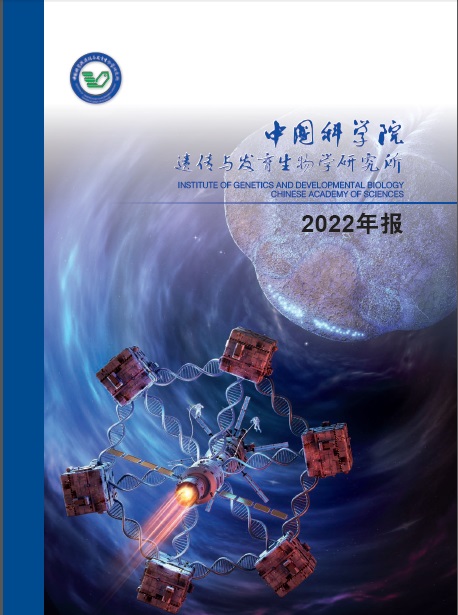 Annual Report 2022