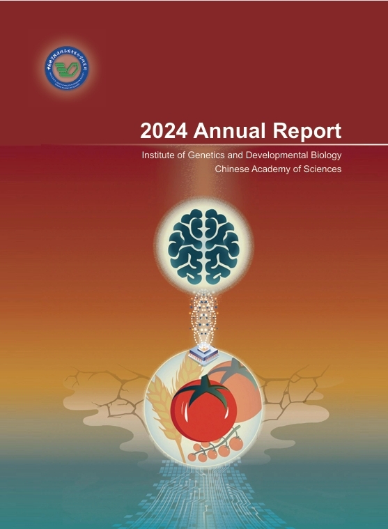 Annual Report 2024