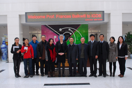 Lecture on Centre of the Cell from Prof. Fran Balkwill Held at IGDB