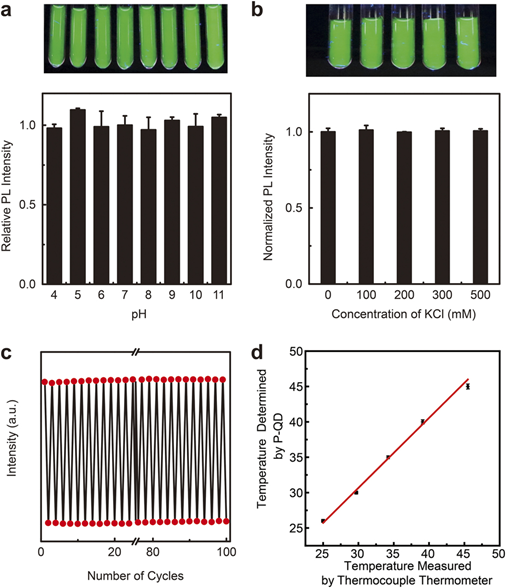 A Novel Nanothermometer for Intracellular Temperature Sensing