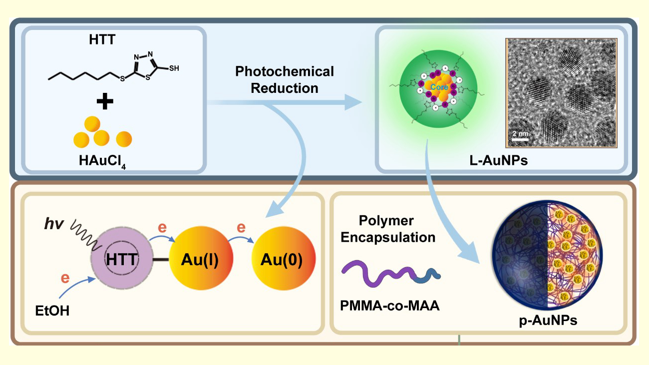 Researchers Develop Novel Strategy in the Construction of Gold Nanoprobes and Their Application in Bio-imaging