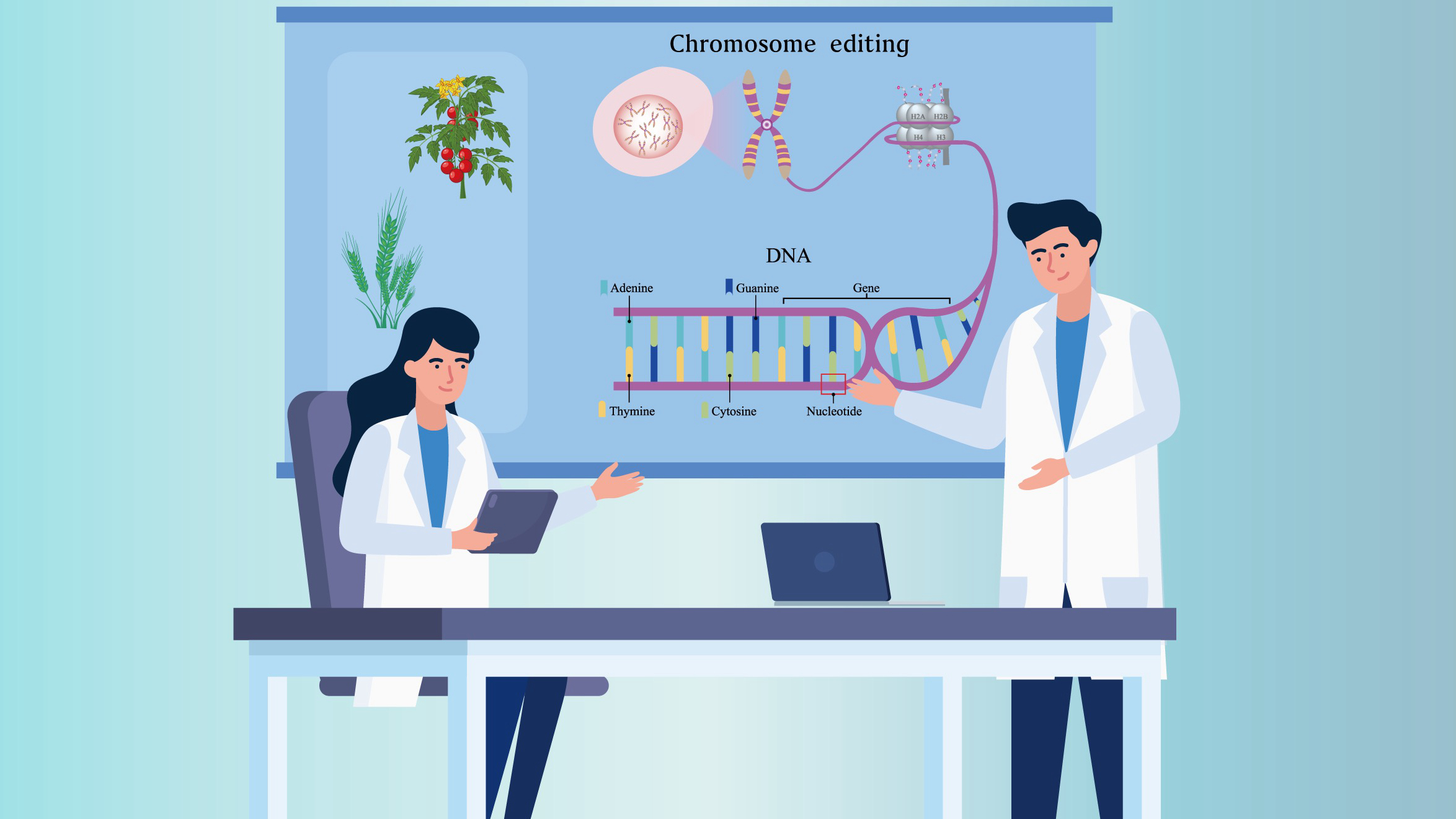 Researchers Develop a Precise and Efficient Scarless Large DNA Fragments Editing Technology in Plants