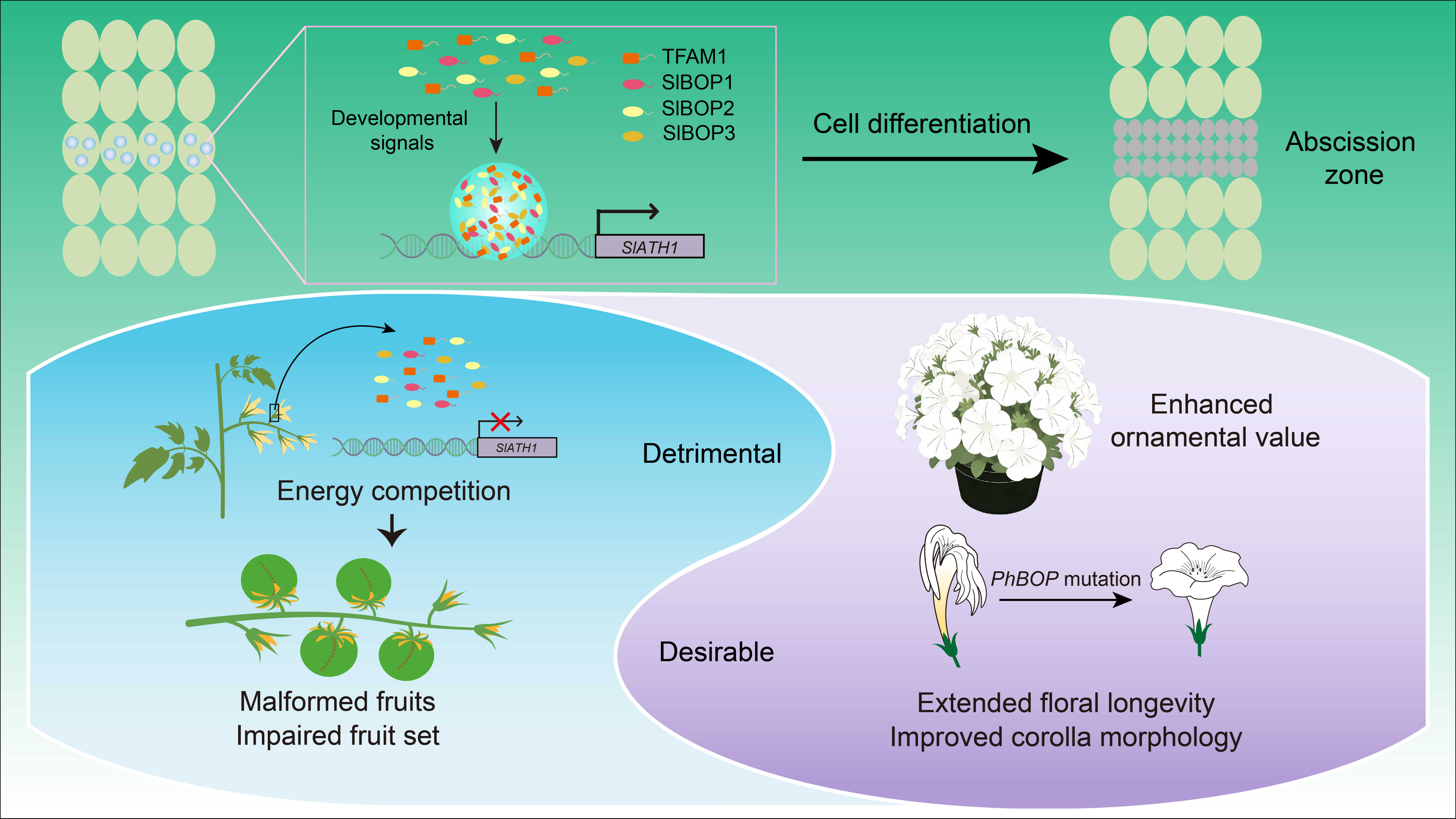 Cross-Species Repurposing of Unfavorable Genes Mitigates Genetic Bottlenecks