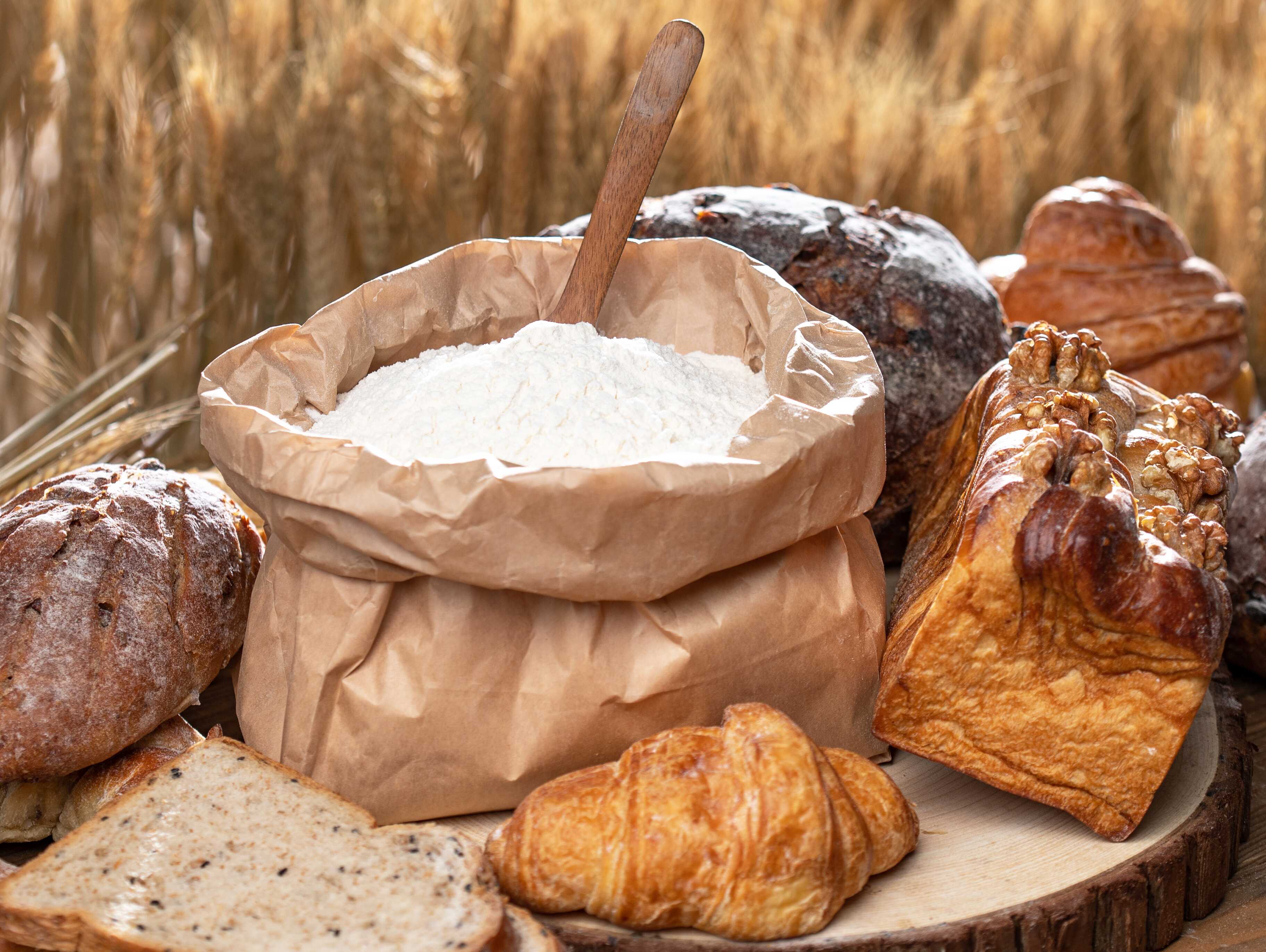 Research Reveals the Evolutionary History of Wheat Quality and Proposes New Strategies for Breeding-by-Design