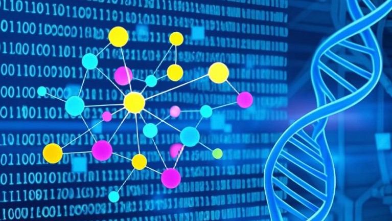 Center for Zero-to-One Innovation